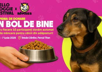Hello Doggie Festival