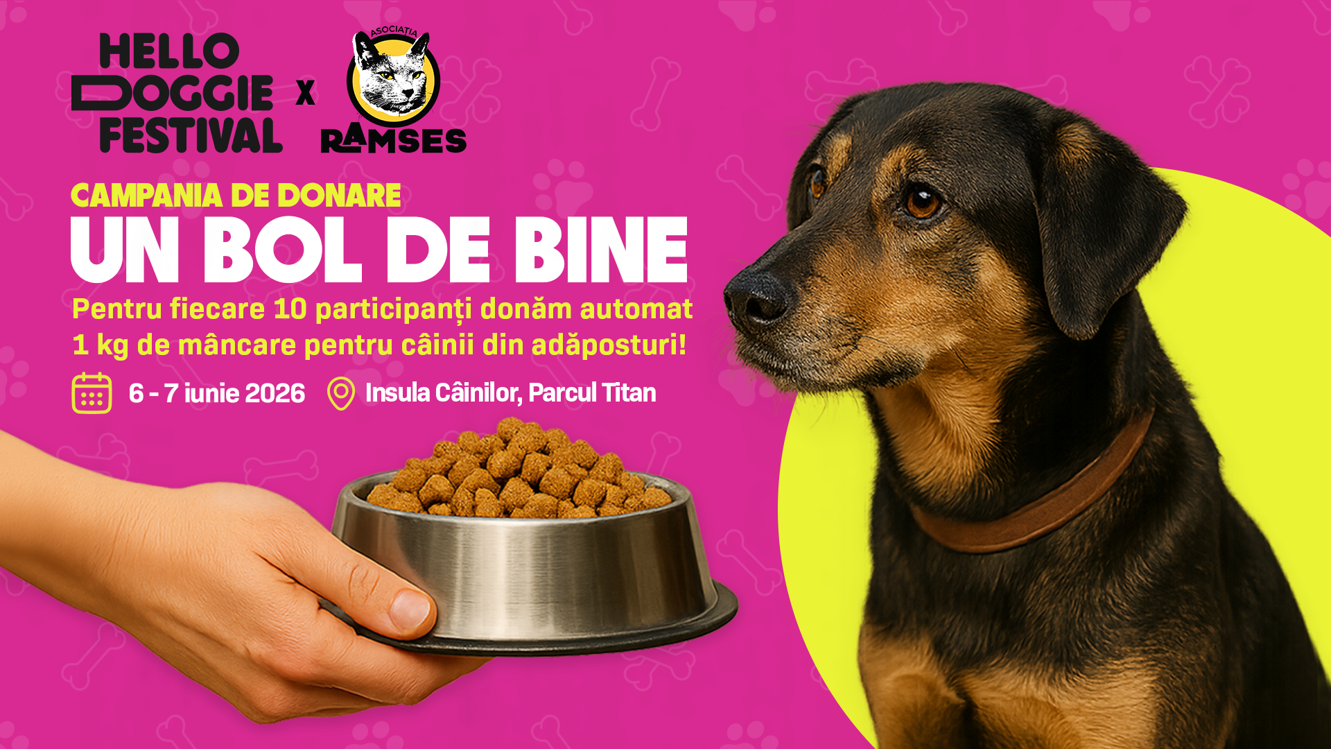 Hello Doggie Festival