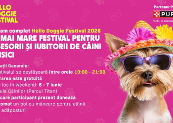 Programul pe ore Hello Doggie Festival