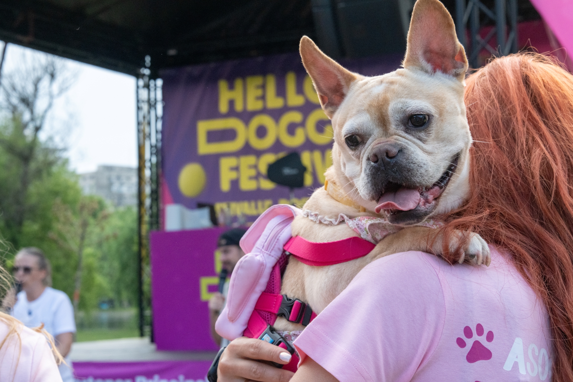 Hello Doggie Festival 2026 - 1