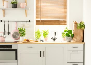 Ghid pentru o bucătărie ecologică