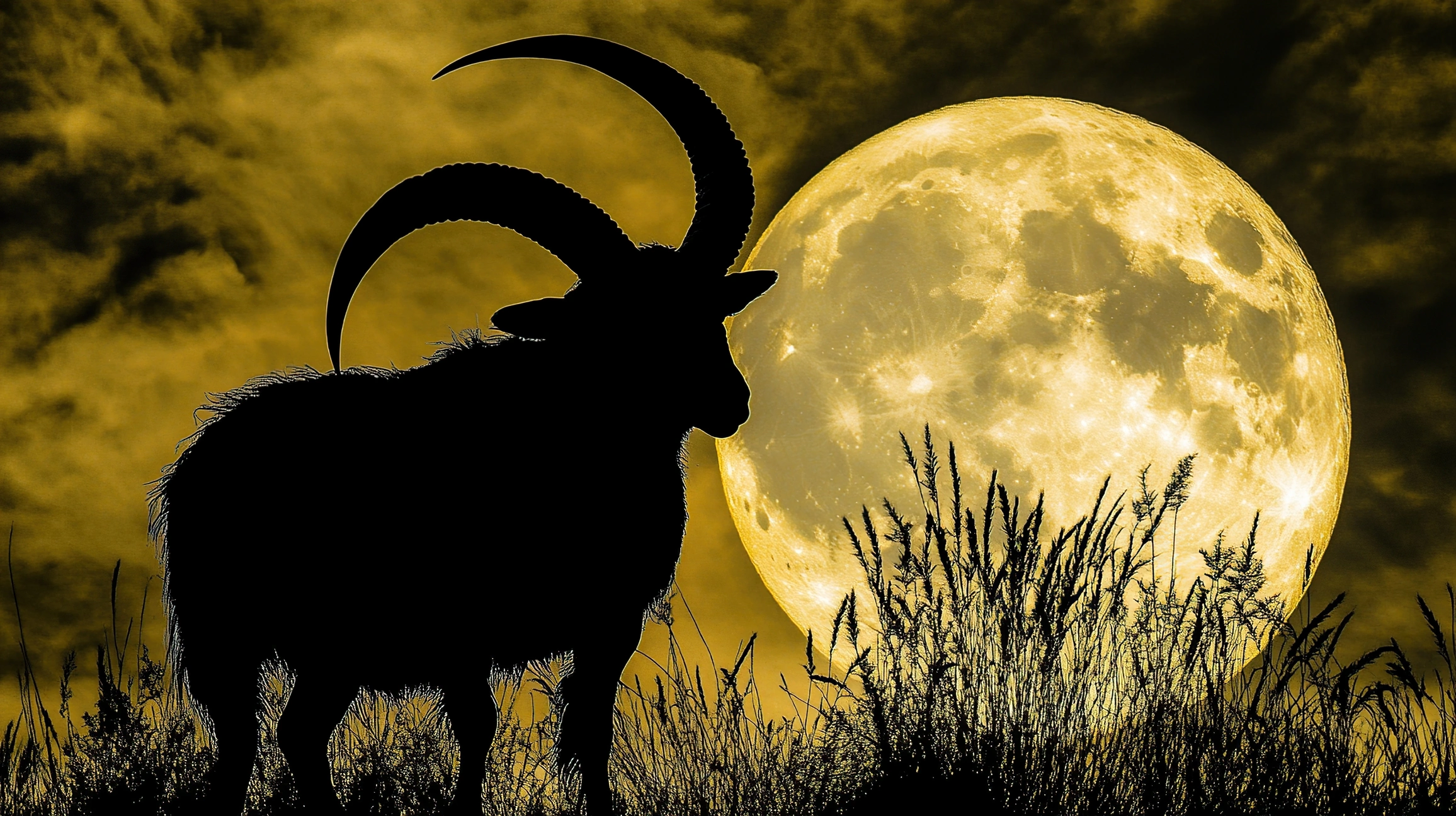 Luna Plină în Capricorn din 29-30 iunie 2026