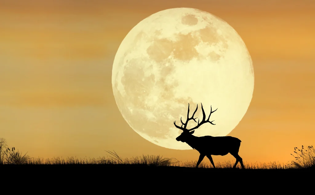 Luna Plină a Cerbului