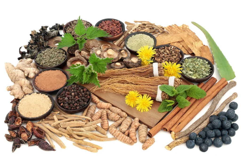 medicina chineză și Ayurveda vara toamna