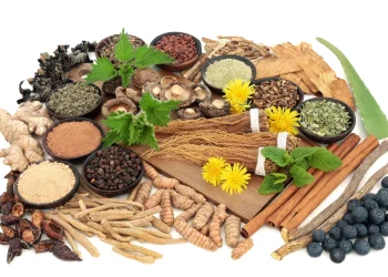 medicina chineză și Ayurveda vara toamna
