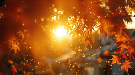 Horoscop special: Echinocțiul de toamnă 23 septembrie 2026. Zodiile intră într-un punct de cotitură: ce se încheie și ce începe acum?