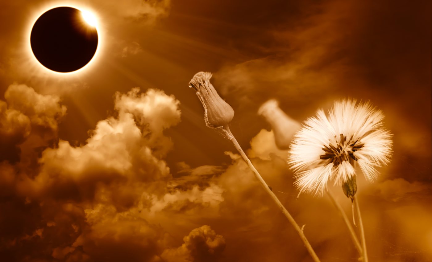 Eclipsă de Soare în Fecioară 21 septembrie 2025