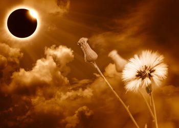 Eclipsă de Soare în Fecioară 21 septembrie 2025