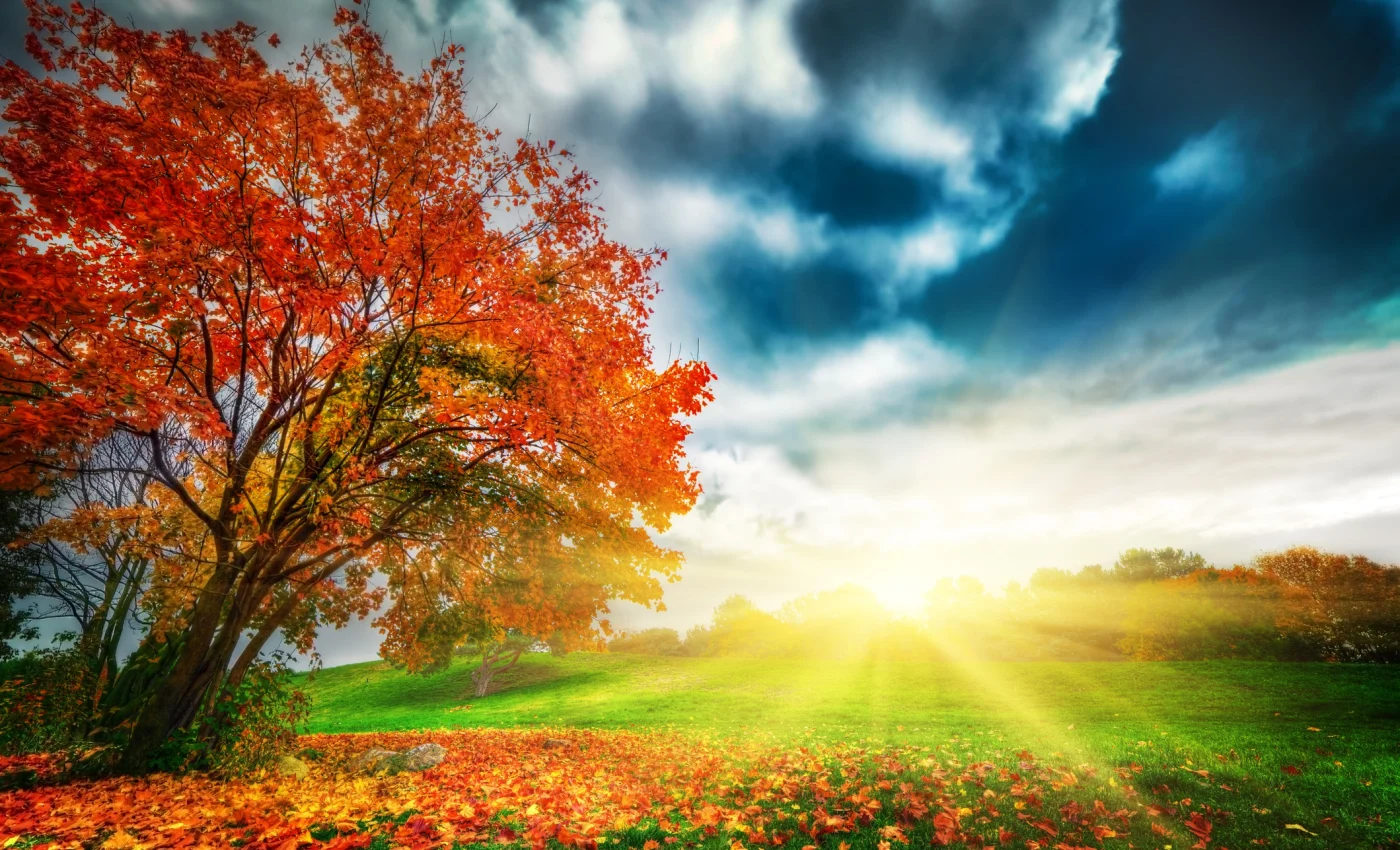 horoscop octombrie - sfatulparintilor.ro - dreamstime_m_34675848
