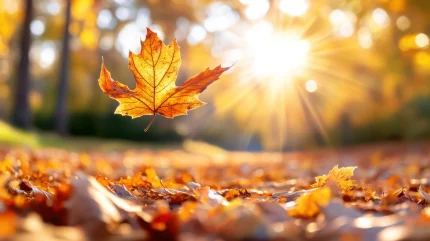 Top 5 zodii care pot avea parte de o surpriză până la finalul lunii septembrie