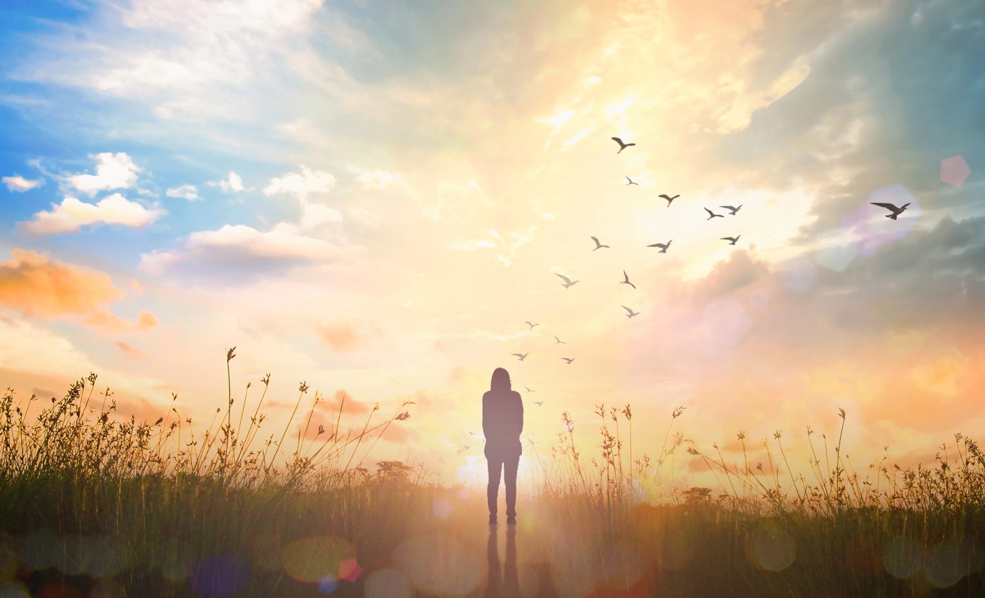 VIAȚA ZODII SENS Pluto