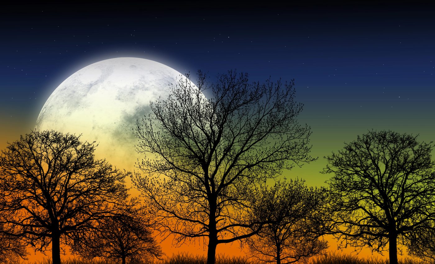 ZODII respiră ușurate Luna Plină a recoltei