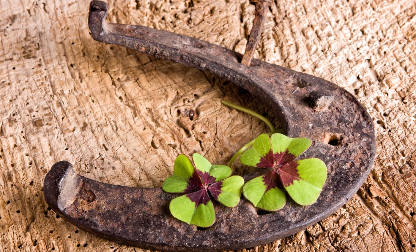 Cod roșu de NOROC 4 ZODII