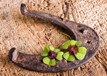 Cod roșu de NOROC 4 ZODII