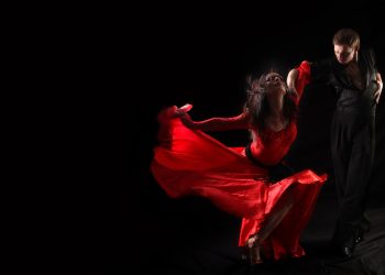 Venus în Taur standarde Zodii