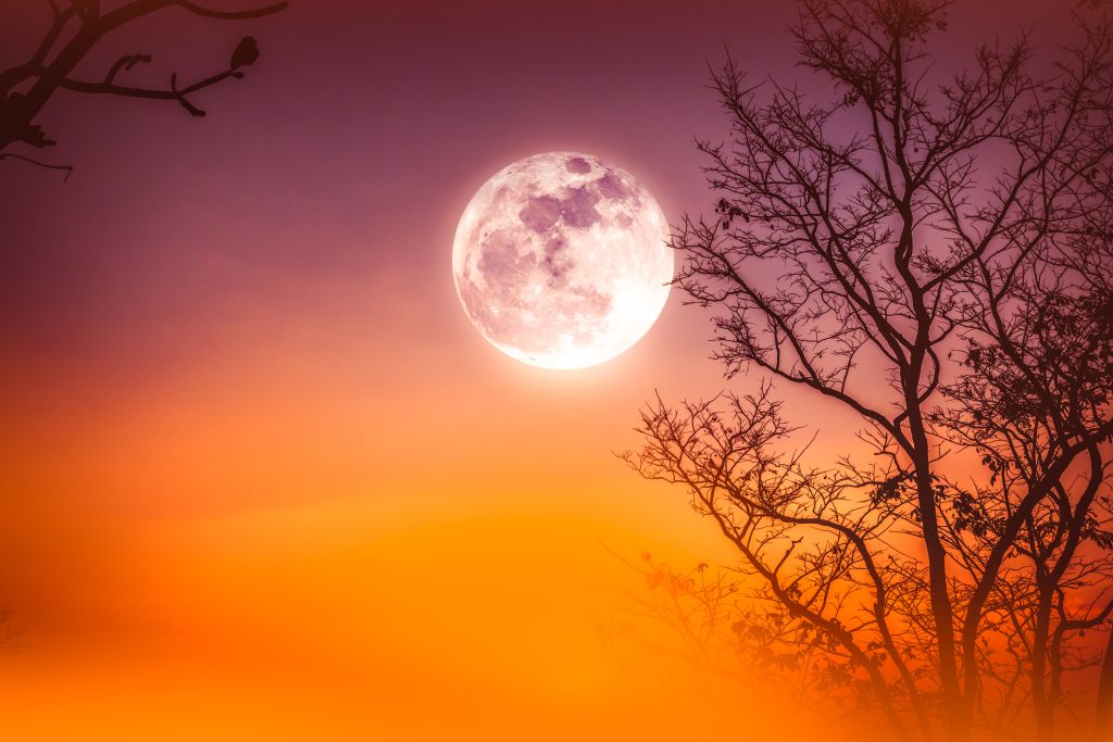 ZODII vor răsufla ușurate după Luna Plină Roz în Balanță din 1/2 aprilie 2026