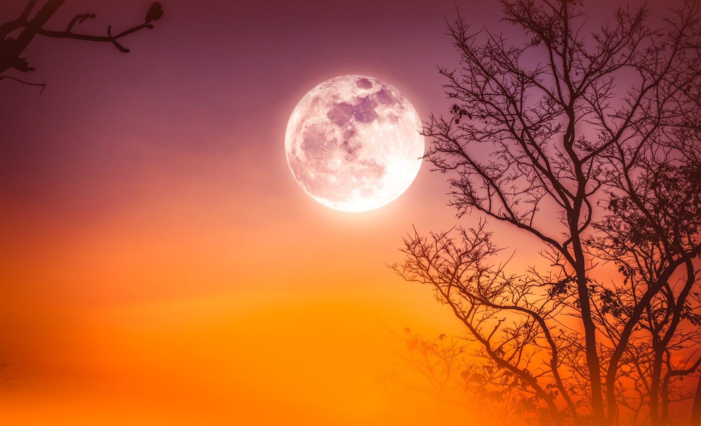 ZODII vor răsufla ușurate după Luna Plină Roz în Balanță din 1/2 aprilie 2026