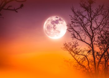 ZODII vor răsufla ușurate după Luna Plină Roz în Balanță din 1/2 aprilie 2026