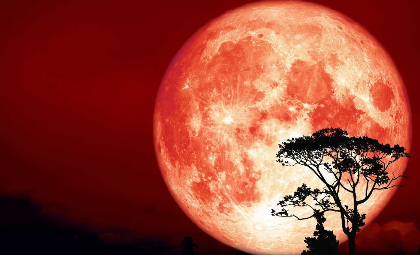 Luna Plină din 26 octombrie 2026, cunoscută drept Luna plină a Vânătorului, aduce în prim-plan o întrebare pe care mulți au evitat-o în ultimele luni: ce mai merită păstrat în viața noastră și ce a devenit o povară?